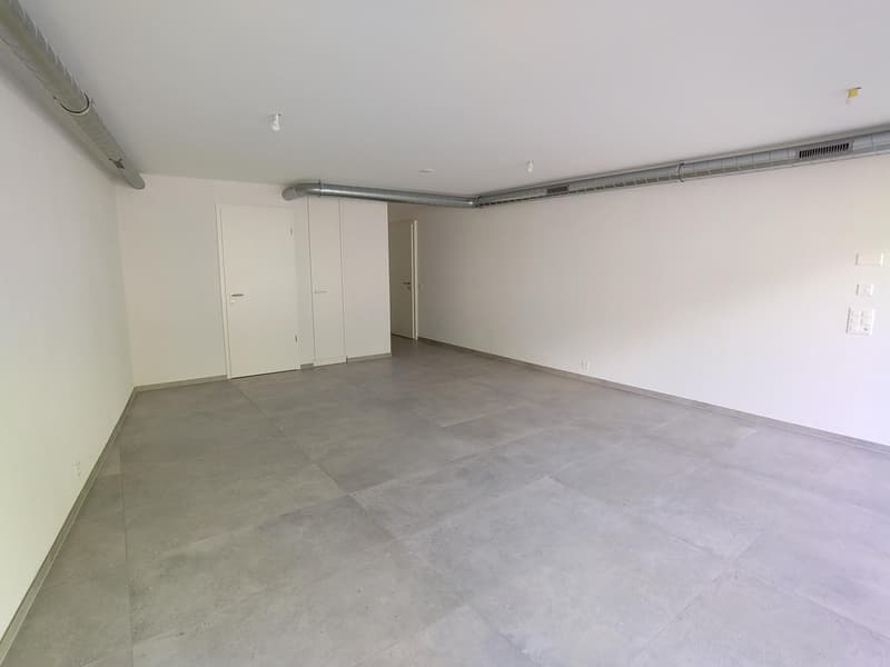 Local commercial pour investisseur (3)