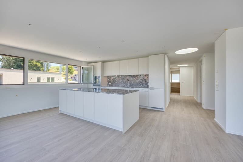NEUBAU - Exklusive 4.5-Zimmer-Attikawohnung mit grosszügiger Terrasse und wunderschöner Aussicht (3)