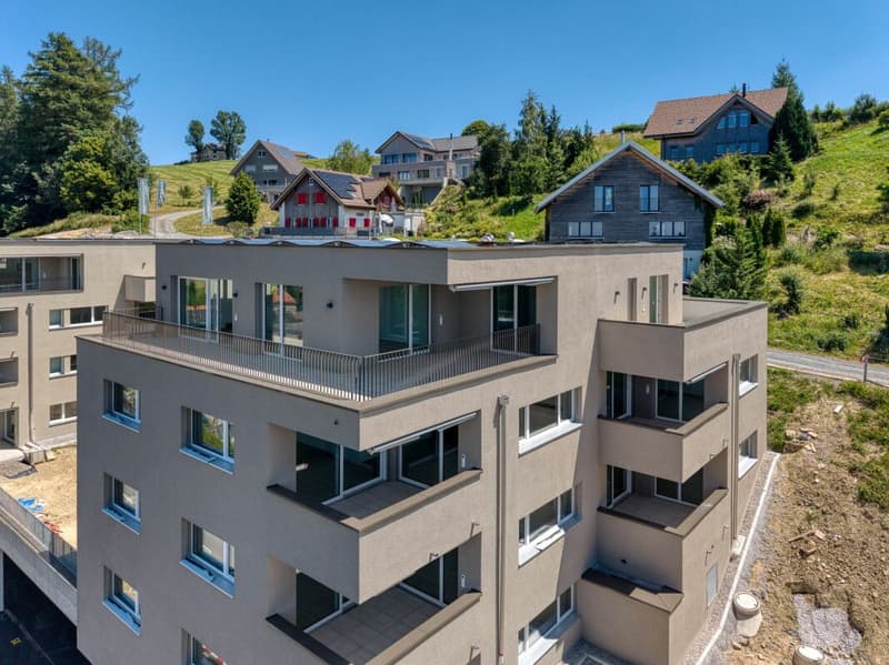 NEUBAU - Exklusive 4.5-Zimmer-Attikawohnung mit grosszügiger Terrasse und wunderschöner Aussicht (12)