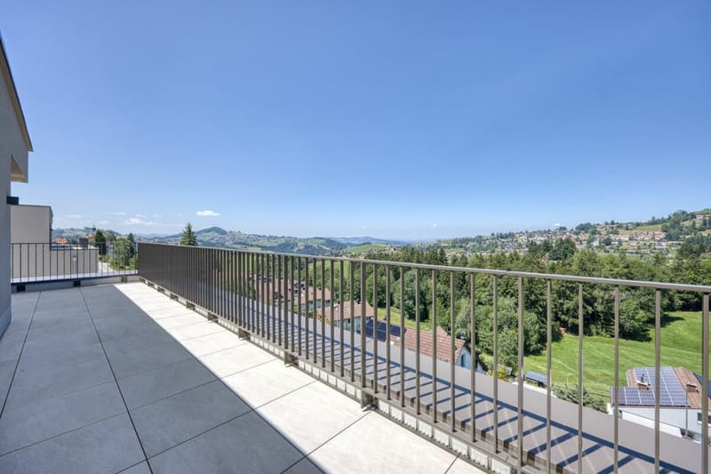 NEUBAU - Exklusive 4.5-Zimmer-Attikawohnung mit grosszügiger Terrasse und wunderschöner Aussicht (1)