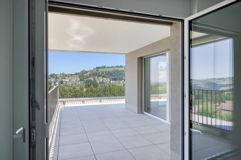 NEUBAU - Exklusive 4.5-Zimmer-Attikawohnung mit grosszügiger Terrasse und wunderschöner Aussicht (2)
