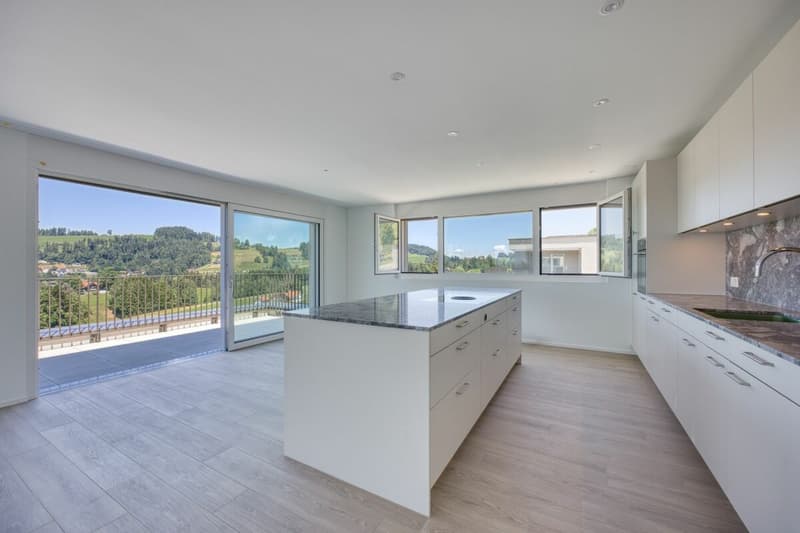 NEUBAU - Exklusive 4.5-Zimmer-Attikawohnung mit grosszügiger Terrasse und traumhafter Aussicht (4)