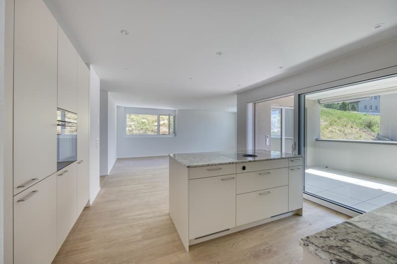 NEUBAU - 4.5 Zimmer-Wohnung mit traumhafter Aussicht (3)