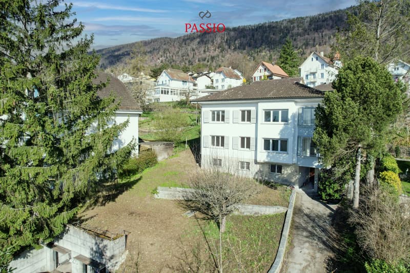 Kernsaniertes Generationenhaus mit zwei Wohnungen, Umschwung und freier Alpensicht (1)