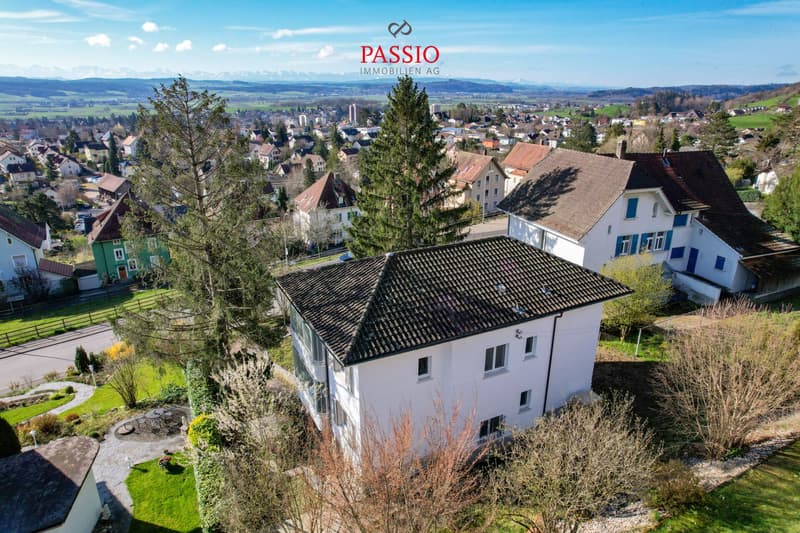 Kernsaniertes Generationenhaus mit zwei Wohnungen, Umschwung und freier Alpensicht (2)