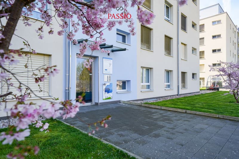 Neuwertige 4.5-Zimmer-Wohnung in Avenches: Moderner Komfort, Grosszügiger Grundriss und Idyllische Lage (2)