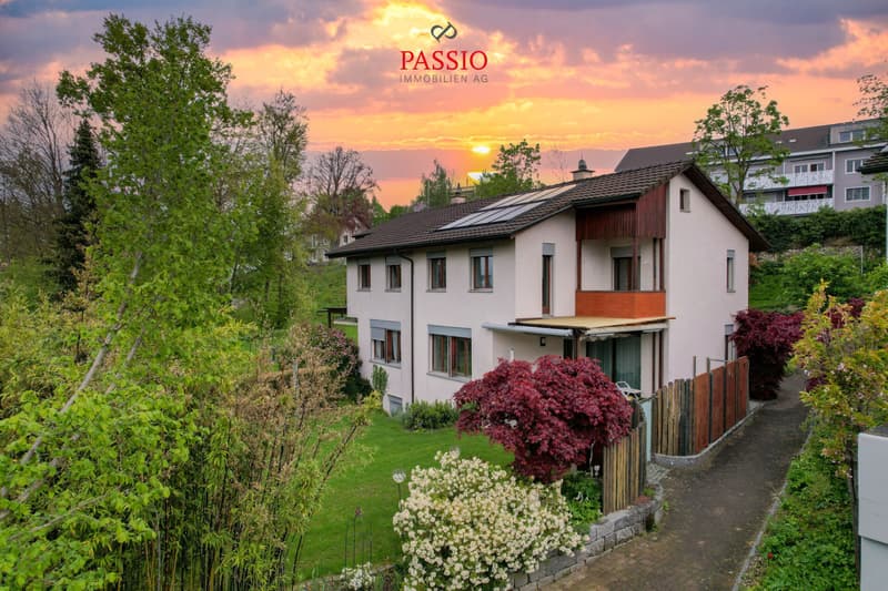 Unweit von Zürich: Charmantes 1.5-Zimmer Doppeleinfamilienhaus mit Photovoltaik-Anlage und privatem Bach-Anteil (1)