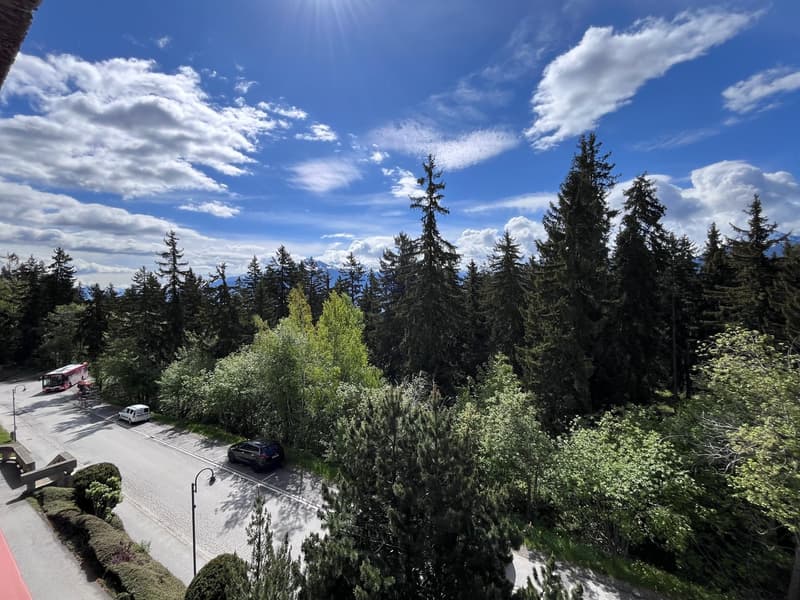 Crans-Forest B, 3.5 pièces,2ème étage (10)