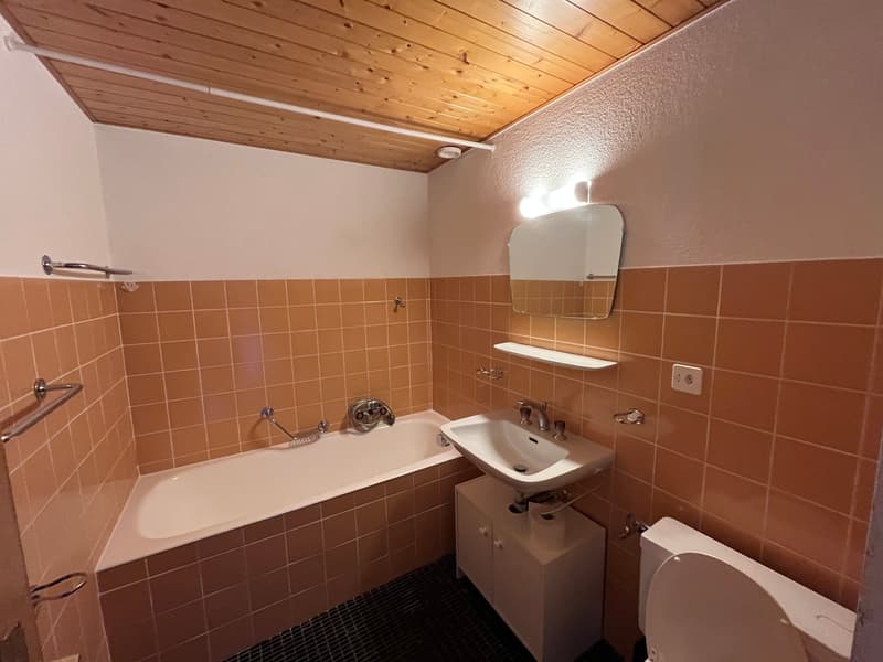 Petit-Vallon B, studio, combles (8)
