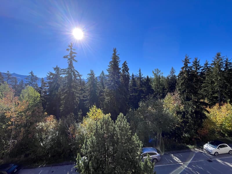 Crans-Forest B, 3.5 pièces,2ème étage (13)