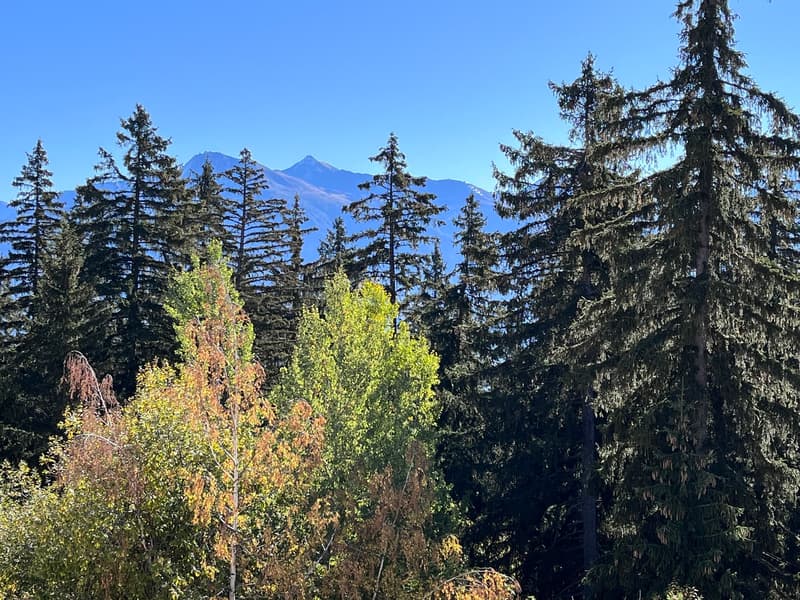 Crans-Forest B, 3.5 pièces,2ème étage (12)
