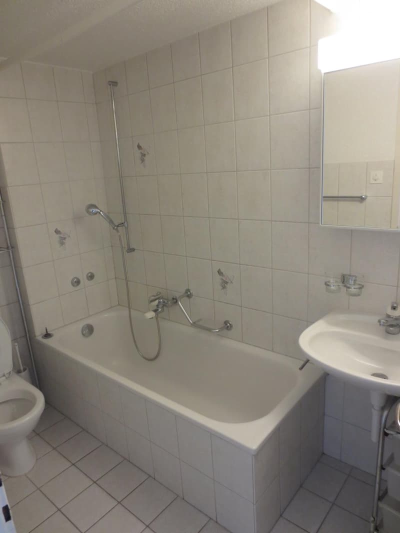 Helle 2-Zimmerwohnung im Gundeli-Quartier (9)