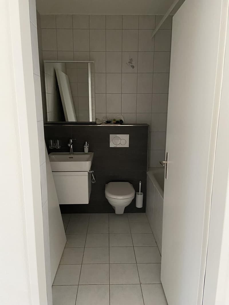 Attikawohnung im Herzen von Basel ? sonnig, modern & stilvoll (11)