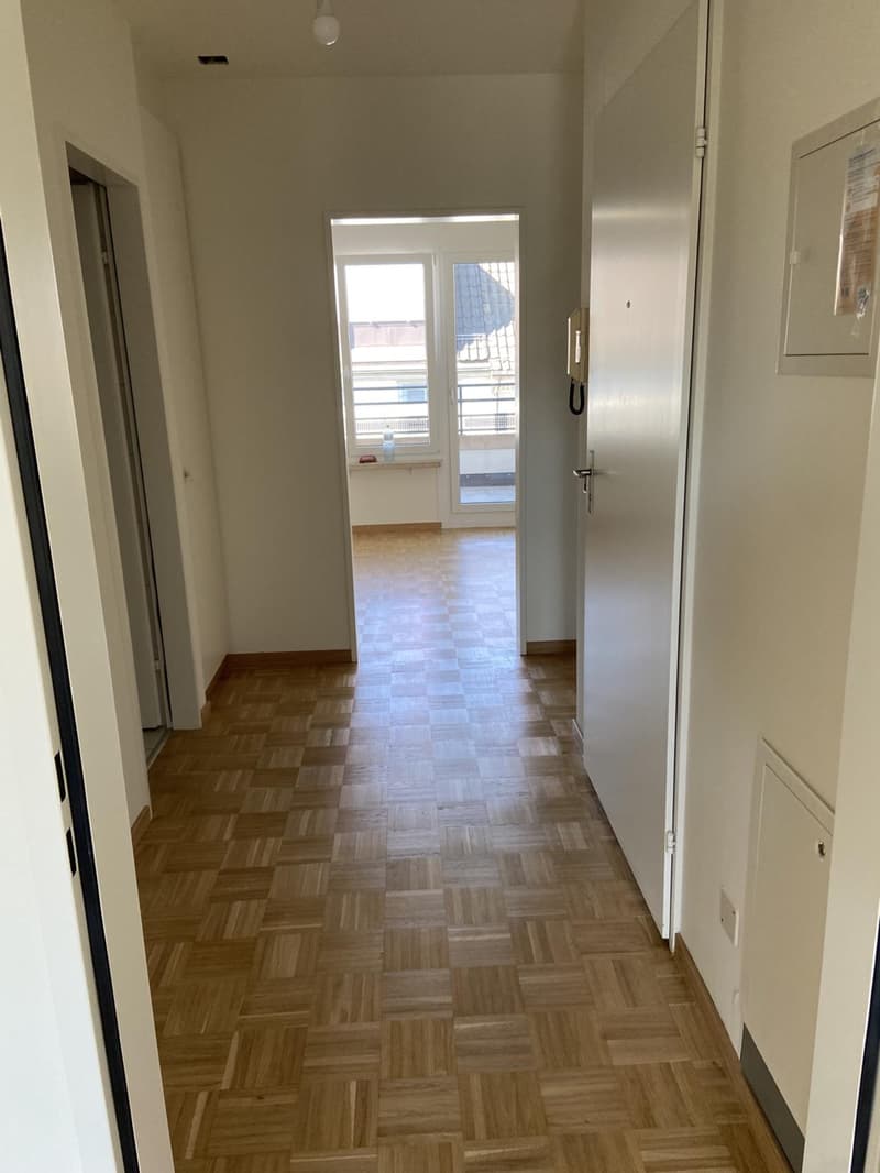 Attikawohnung im Herzen von Basel ? sonnig, modern & stilvoll (7)