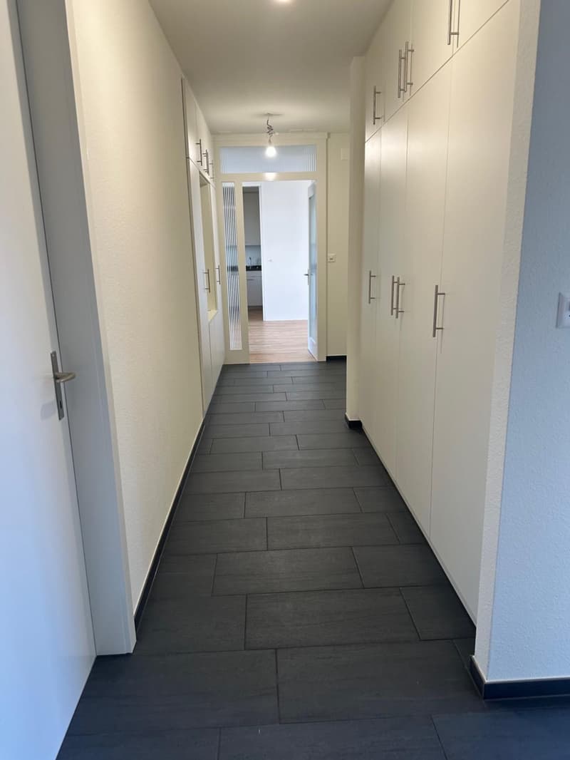 Erstvermietung: Frisch renovierte 6.5-Zimmer-Maisonettewohnung mit zwei Terrassen (13)
