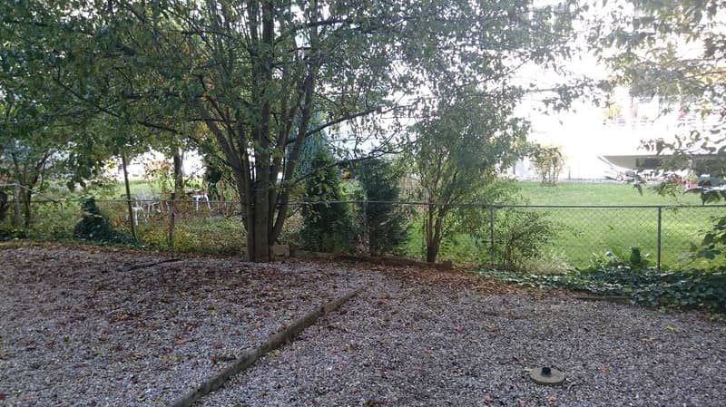 Charmante 4-Zimmer-Altbauwohnung im Hochparterre in Bern-Breitenrain (15)