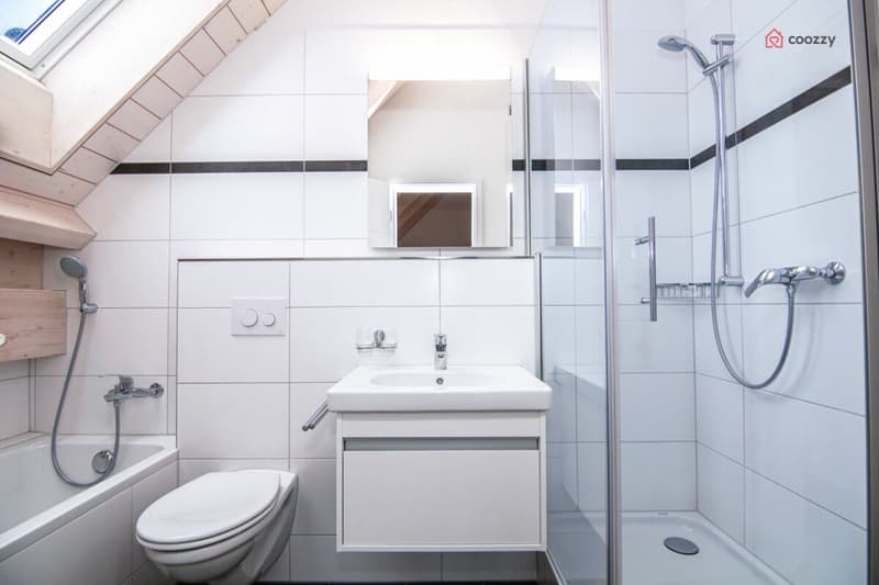 Ampio appartamento di 5½ locali (13)