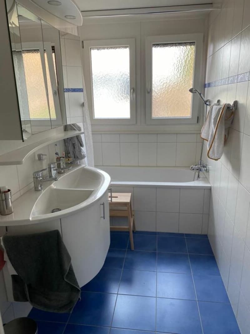 Natur nah, Stadt in kürze erreichbar  - attraktive 3.5-Zimmer Wohnung (9)