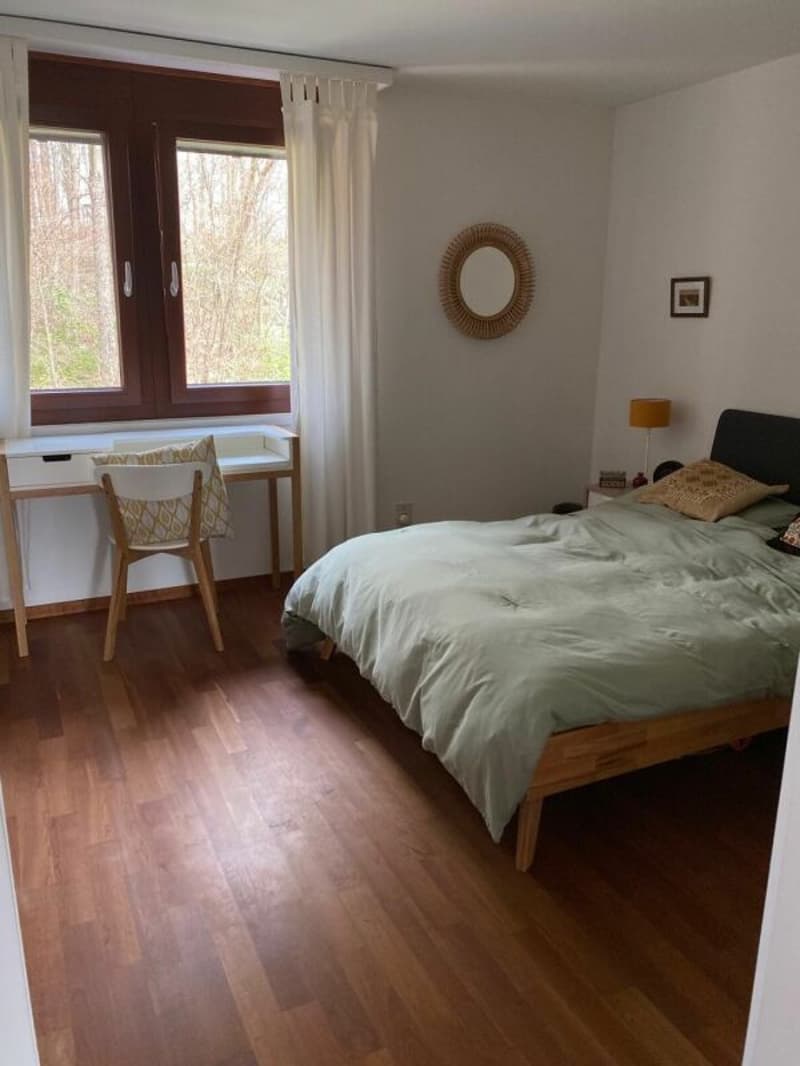 Natur nah, Stadt in kürze erreichbar  - attraktive 3.5-Zimmer Wohnung (7)