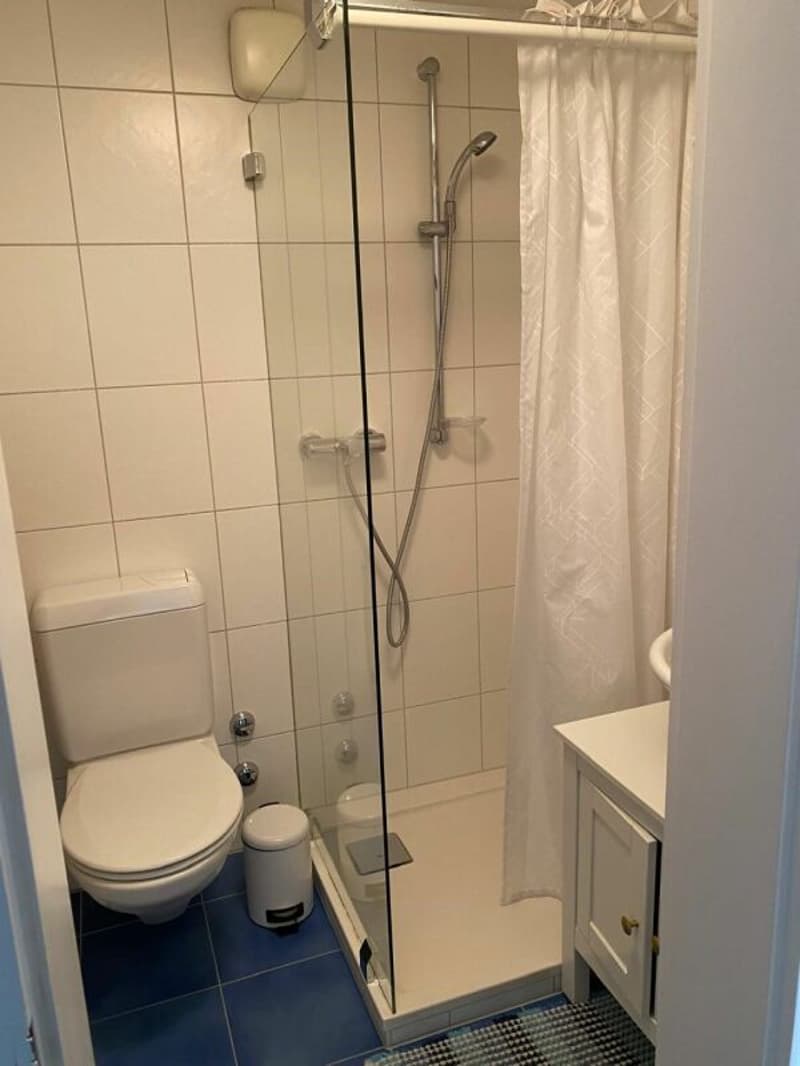 Natur nah, Stadt in kürze erreichbar  - attraktive 3.5-Zimmer Wohnung (10)