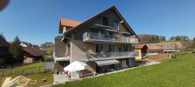 Wunderschöne 2.5-Zimmer Wohnung im Grünen Kopie (10)