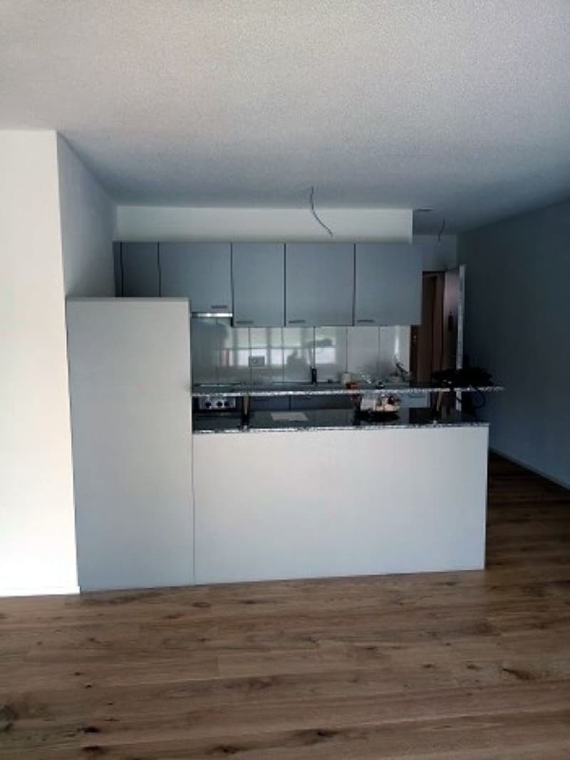 Wunderschöne 2.5-Zimmer Wohnung im Grünen Kopie (4)