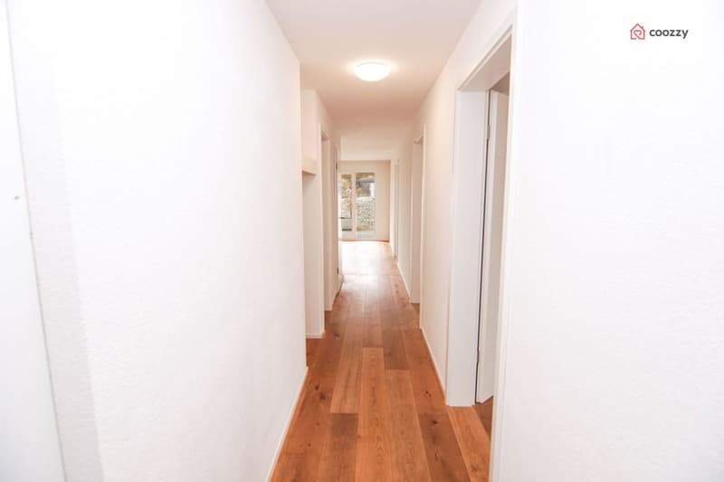 Schöne 4½ Zimmerwohnung mit grosser Terrasse (5)
