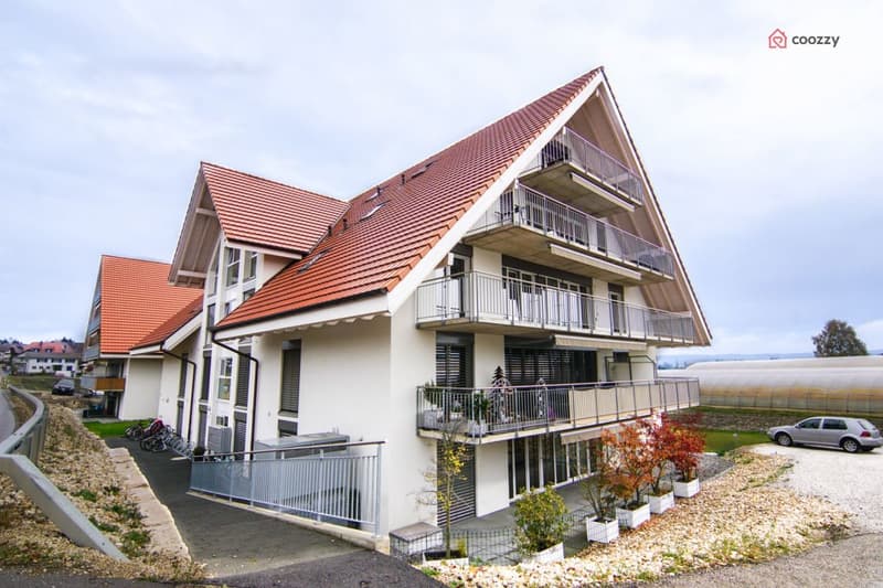Schöne 4½ Zimmerwohnung mit grosser Terrasse (2)