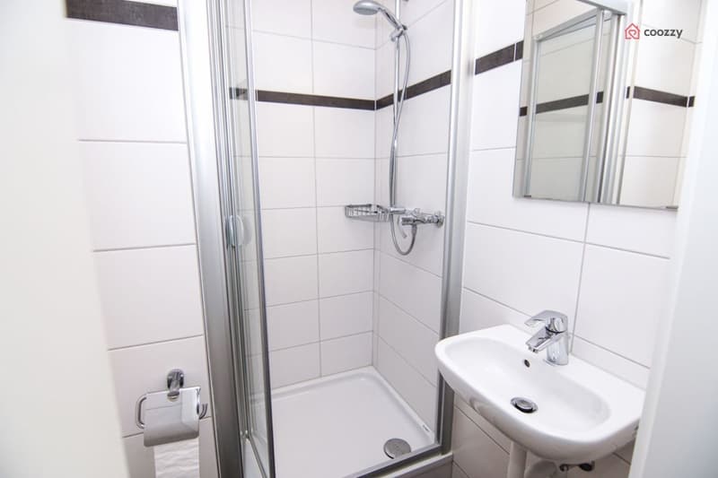 Schöne 4½ Zimmerwohnung mit grosser Terrasse (7)