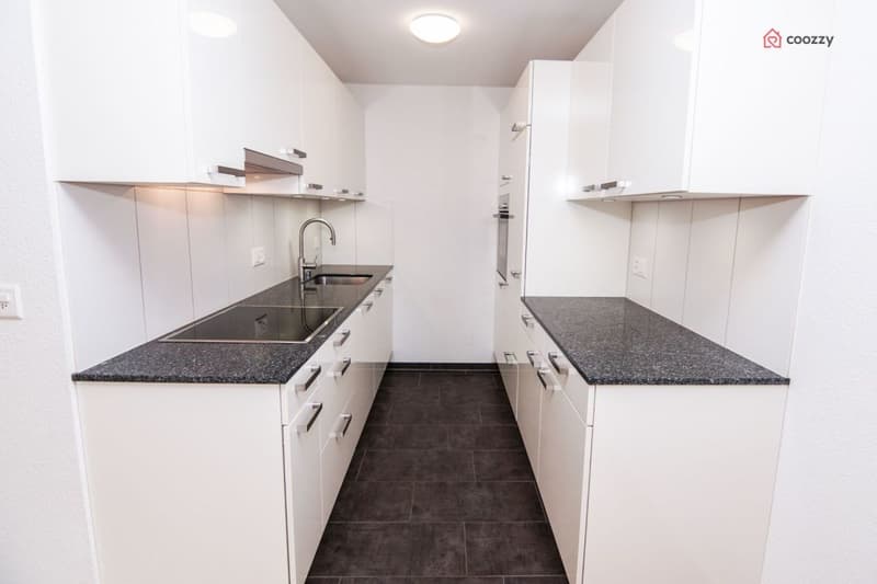 Schöne 4½ Zimmerwohnung mit grosser Terrasse (3)