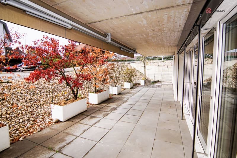 Schöne 4½ Zimmerwohnung mit grosser Terrasse (4)