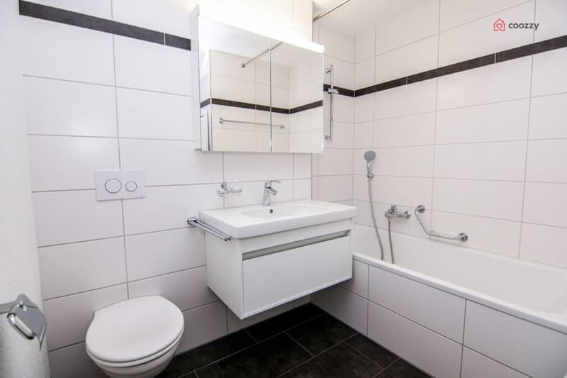 Schöne 4½ Zimmerwohnung mit grosser Terrasse (8)