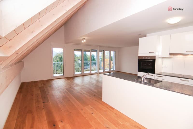 Geräumige 4½-Zimmerwohnung inkl. zusätzliche Nebenräume (1)