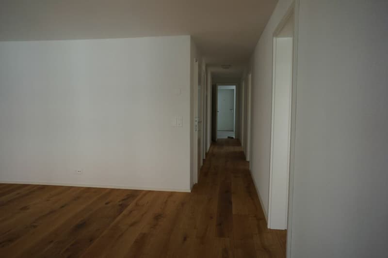 Schöne 4½-Zimmerwohnung (5)