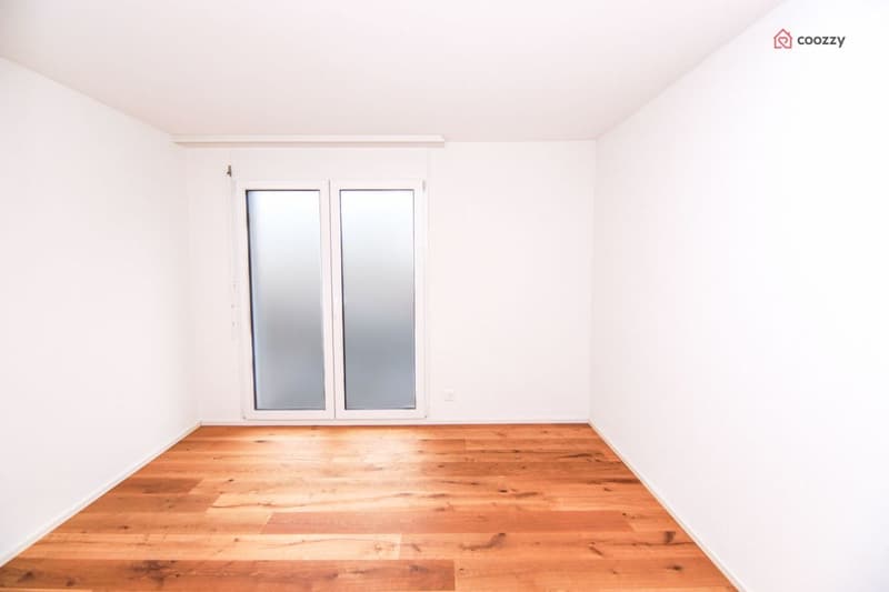 Schöne 4½-Zimmerwohnung (2)