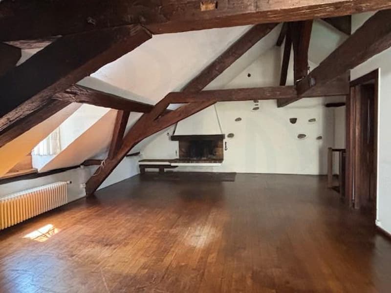 OFF MARKET - EXCLUSIVITE - RARE Immeuble mixte de charme avec jardin au coeur de Carouge (2)