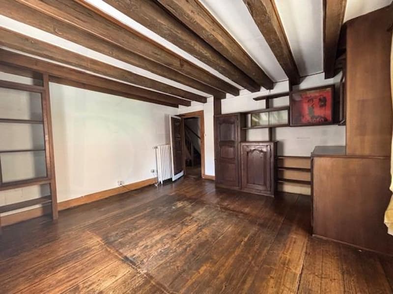 OFF MARKET - EXCLUSIVITE - RARE Immeuble mixte de charme avec jardin au coeur de Carouge (4)
