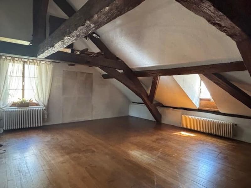 OFF MARKET - EXCLUSIVITE - RARE Immeuble mixte de charme avec jardin au coeur de Carouge (3)