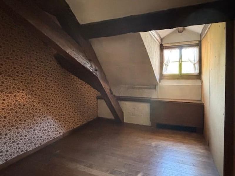 OFF MARKET - EXCLUSIVITE - RARE Immeuble mixte de charme avec jardin au coeur de Carouge (6)