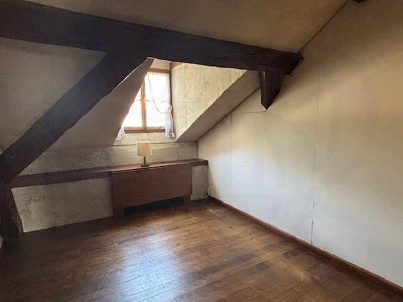 OFF MARKET - EXCLUSIVITE - RARE Immeuble mixte de charme avec jardin au coeur de Carouge (7)