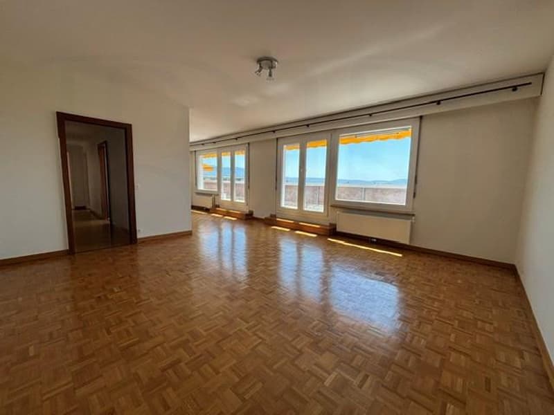 LE GRAND-SACONNEX - Appartement de 6 pièces en attique (3)