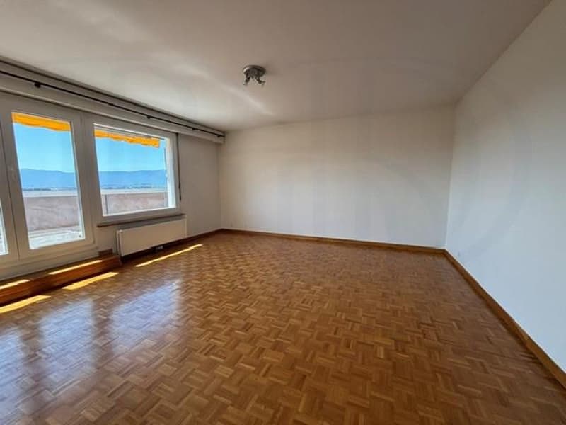 LE GRAND-SACONNEX - Appartement de 6 pièces en attique (2)