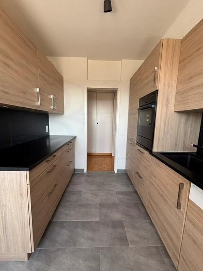 LE GRAND-SACONNEX - Appartement de 6 pièces en attique (8)