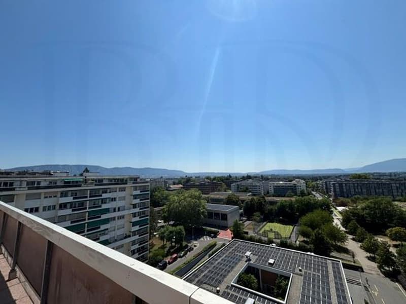LE GRAND-SACONNEX - Appartement de 6 pièces en attique (1)