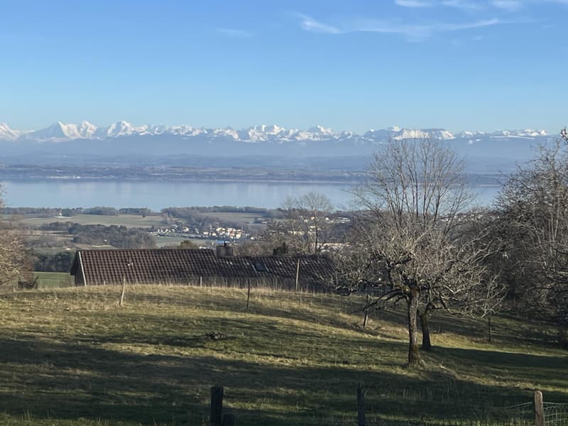 Êtes-vous en quête de calme, de verdure et d'une magnifique vue ? (7)