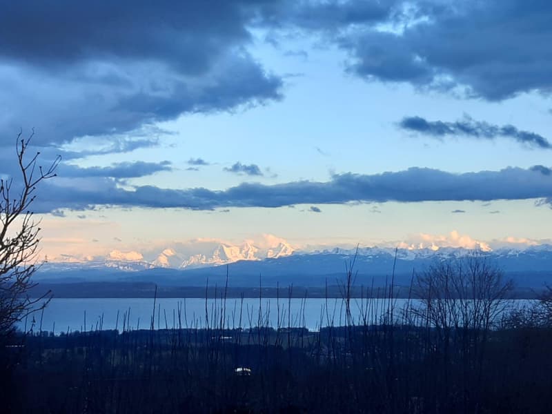 Êtes-vous en quête de calme, de verdure et d'une magnifique vue ? (8)