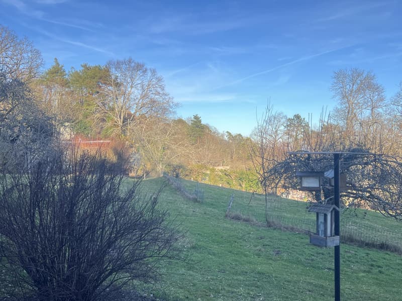 Magnifique parcelle constructible de 3'383 m² avec vue (5)