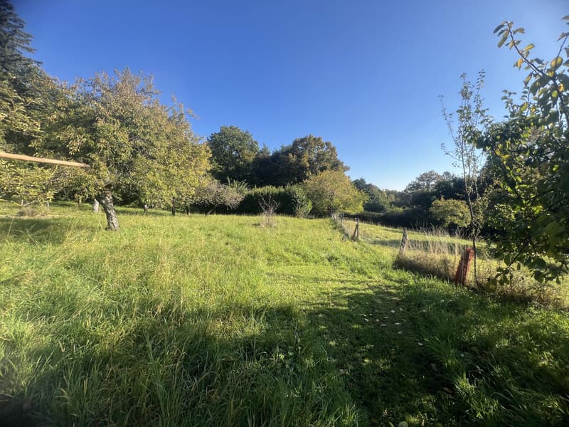 Magnifique parcelle constructible de 3'383 m² avec vue (3)