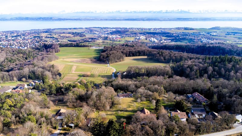 Magnifique parcelle constructible de 3'383 m² avec vue (8)