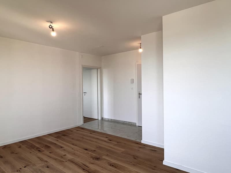 Appartement entièrement rénové avec vue sur le lac et les Alpes (5)